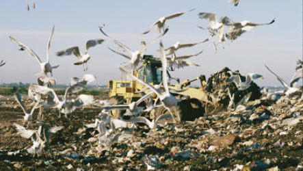 Свалка, близкая к идеалу