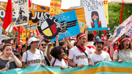 Чем эколог отличается от защитника природы